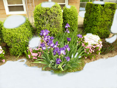 what if measurable snow fell in early May in Philly?