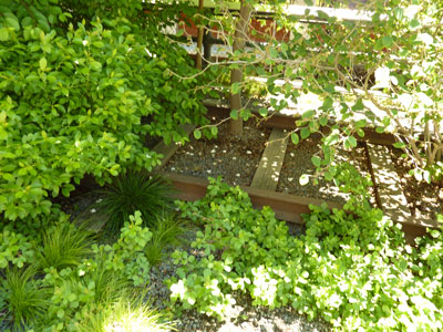 more rails and ties which were retained; here in a planting bed