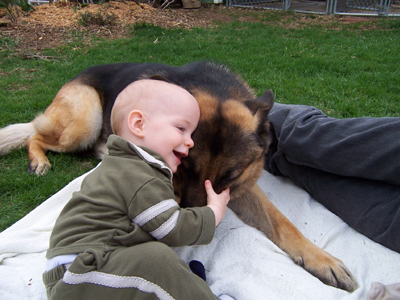 German Shepherd with a sleeping baby