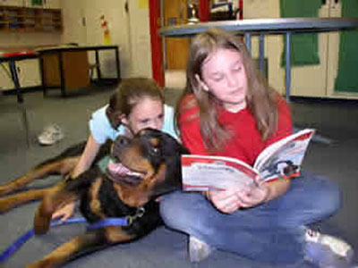 rottweiler therapy dog with patient