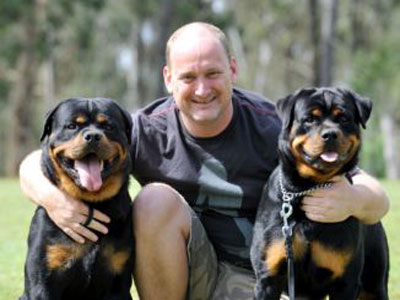 two rottwielers with person